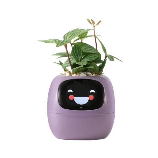 Smart Pot